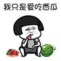 吃瓜的娱乐人,揭秘娱乐圈背后的娱乐人生